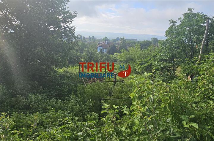 Teren Intravilan de vanzare CETATE - Alba anunturi imobiliare Alba