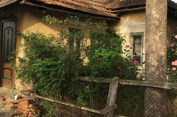 Casă - 2 camere de vanzare STANGACEAUA - Mehedinti anunturi imobiliare Mehedinti