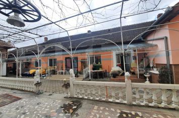Vilă - 12 camere de vanzare STEAUA - Timis anunturi imobiliare Timis