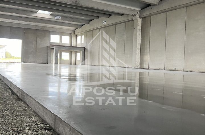 Compartiment hala - 523mp anunturi imobiliare Timis