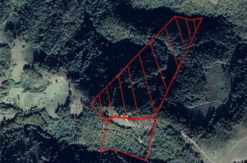 Teren Intravilan de vanzare BULZ  - Bihor anunturi imobiliare Bihor