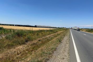 Teren de vanzare in Sacadat zona Coca Cola cu acces din DN1-Pret9 e/mp anunturi imobiliare Bihor