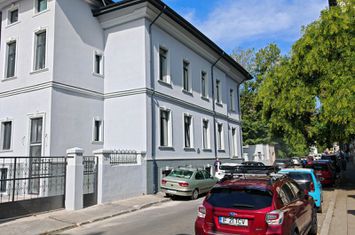 CISMIGIU || STIRBEI VODA VILA INTERBELICA IDEAL CLINICA MEDICALA anunturi imobiliare Bucuresti
