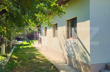 Vilă - 4 camere de vanzare BRANESTI - Dambovita anunturi imobiliare Dambovita