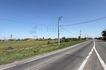Teren intravilan 2.6 hectare la E671 / DN79 | Front 484 ml anunturi imobiliare Bihor