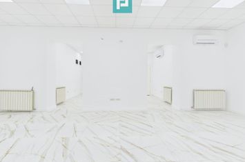 Apartament spectaculos ultracentral de închiriat anunturi imobiliare Arad