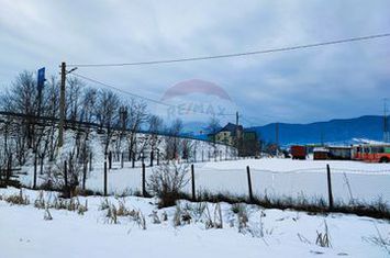 Teren intravilan 9.574 mp în Săliște, poziție strategică, ideal invest anunturi imobiliare Sibiu