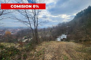 Teren de vanzare SALISTE - Sibiu anunturi imobiliare Sibiu