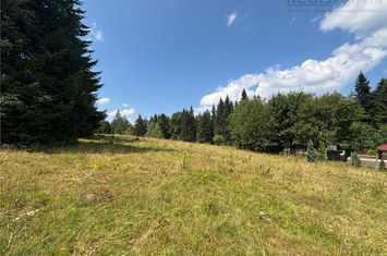 Teren Intravilan de vanzare PREDEAL - Brasov anunturi imobiliare Brasov