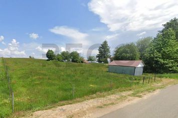 Teren Intravilan de vanzare AUSEU  - Bihor anunturi imobiliare Bihor