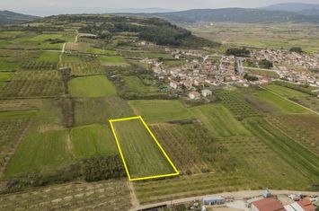 Teren construibil 5.000 mp în Mesolakia, Serres anunturi imobiliare Grecia