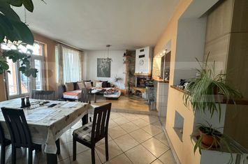 Casă - 5 camere de vanzare BLASCOVICI - Timis anunturi imobiliare Timis