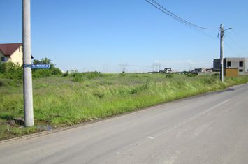 Domnesti-Narciselor anunturi imobiliare Bucuresti