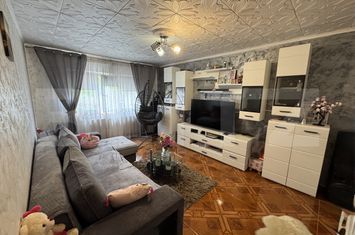 Apartament 2 camere de vanzare LAPUS ARGES - Dolj anunturi imobiliare Dolj