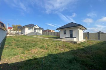 Casă - 4 camere de vanzare SCHEIA - Suceava anunturi imobiliare Suceava