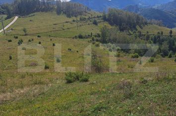 Teren de vanzare ALBA IULIA - Alba anunturi imobiliare Alba