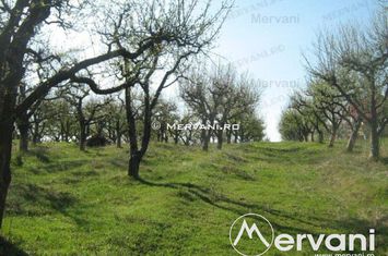 Teren Intravilan de vanzare VOILA - Prahova anunturi imobiliare Prahova