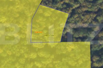 Teren de vanzare CETATE - Alba anunturi imobiliare Alba