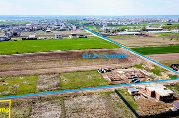 Teren Intravilan de vanzare COMUNA BERCENI - Bucuresti anunturi imobiliare Bucuresti