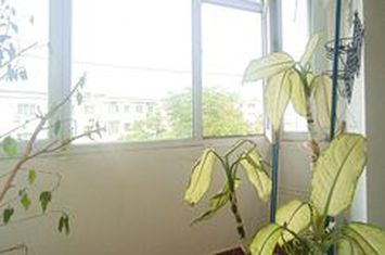 Apartament 2 camere de vanzare ENACHITA VACARESCU - Prahova anunturi imobiliare Prahova