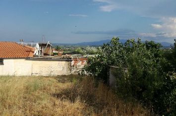 Teren construibil 902 mp în Zarkadia Nestou anunturi imobiliare Grecia