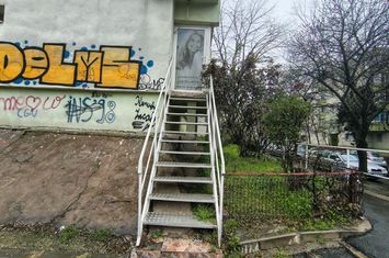 COLENTINA - Maior Bacila | Spatiu Comercial anunturi imobiliare Bucuresti