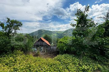 Casă - 2 camere de vanzare ALBA IULIA - Alba anunturi imobiliare Alba