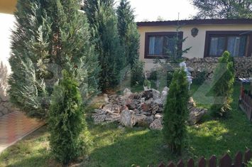 Casă - 8 camere de vanzare BARNOVA - Iasi anunturi imobiliare Iasi