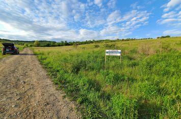 Teren 1.370 mp, intravilan, Livezeni, 0% comision anunturi imobiliare Mures