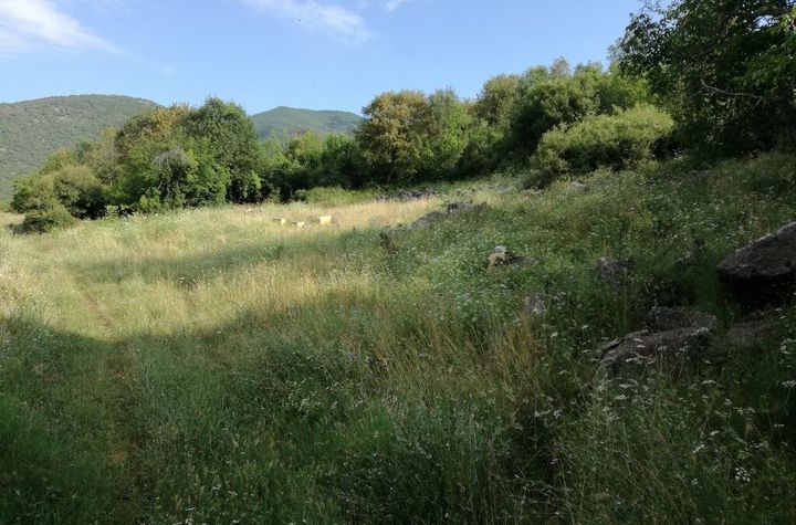 Teren construibil 1082 mp în Elafochori anunturi imobiliare Grecia