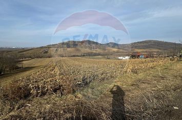 Teren PUZ aprobat , 2.500mp Sibiu / Strada Gorunului anunturi imobiliare Sibiu