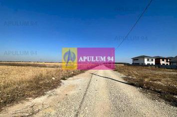 Teren Pantelimon-Dobroesti anunturi imobiliare Bucuresti