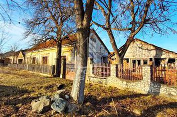 Casa de caramida in Tela si Teren Generos de 4320 mp anunturi imobiliare Arad