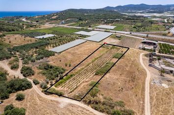 Două terenuri 4.736 mp și 925 mp în Nea Peramos anunturi imobiliare Grecia