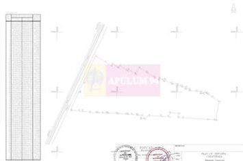 Teren 40ha Adunatii Copăceni | Industrial/ Logistic anunturi imobiliare Giurgiu