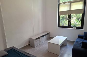 Casa cu 1 camera in curte comuna cu loc de parcare anunturi imobiliare Bucuresti