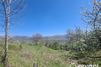Casă - 5 camere de vanzare COMARNIC - Prahova anunturi imobiliare Prahova