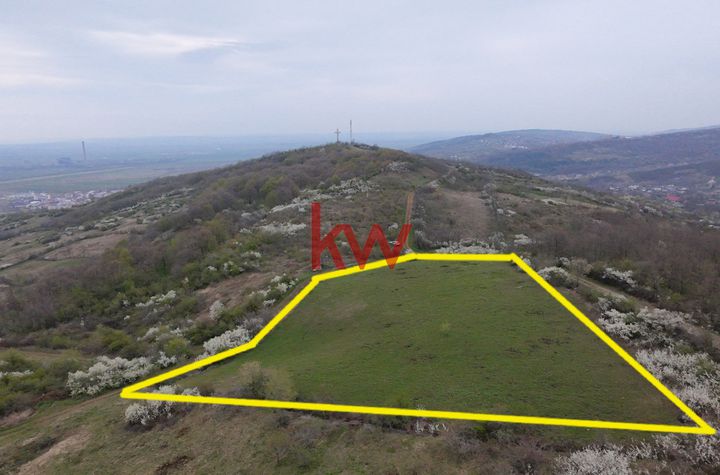 Teren de vanzare IASI - Iasi anunturi imobiliare Iasi