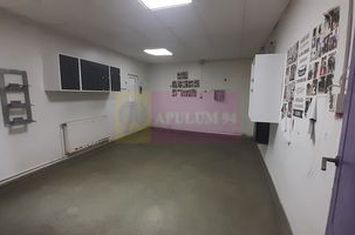 Spațiu producție, depozitare pretabil activități diverse anunturi imobiliare Bucuresti