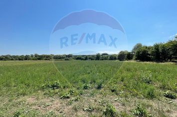 TEREN  INTRAVILAN  5000mp ORAS CISNADIE  STR. SELIMBARULUI anunturi imobiliare Sibiu