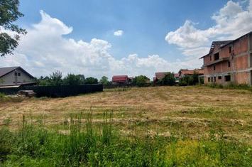 Balotesti - Str. Fieni - teren intravilan 1225 mp langa padure anunturi imobiliare Bucuresti