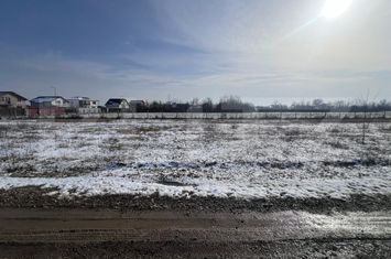 Teren de vanzare TARGOVISTE - Dambovita anunturi imobiliare Dambovita