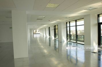 Birou de vanzare POLONA - Bucuresti anunturi imobiliare Bucuresti