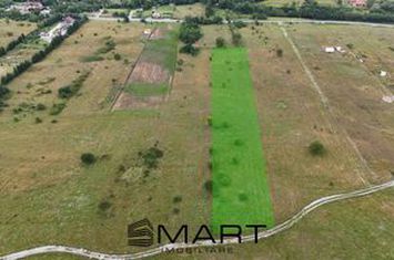 Teren de vanzare AVRIG - Sibiu anunturi imobiliare Sibiu