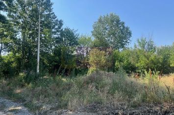 Teren Clinceni- Ordoreanu- langa Dig. anunturi imobiliare Bucuresti