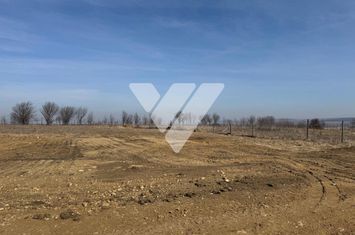 Teren de vanzare SURA MICA - Sibiu anunturi imobiliare Sibiu