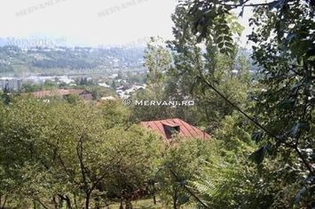 Teren de vânare în Poiana Câmpina anunturi imobiliare Prahova