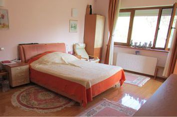 SNAGOV vila  spatioasa, curte amenajata, garaj, panouri fotovoltaice anunturi imobiliare Bucuresti