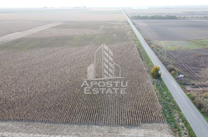 Teren 50.000 mp, industrial, in vecinatatea FRIGOGLASS- SAG. anunturi imobiliare Timis