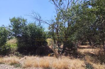 Teren 634mp Sf. Agnes anunturi imobiliare Bucuresti